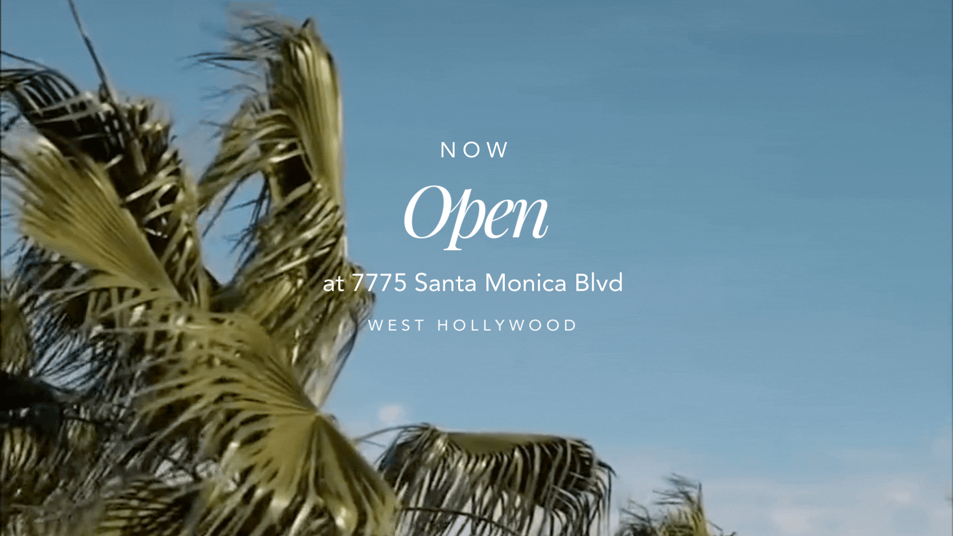 Flowers | Donovan By Design | West Hollywood Florist